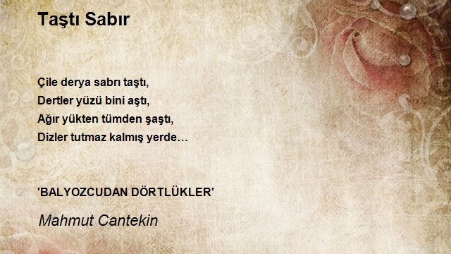 Mahmut Cantekin