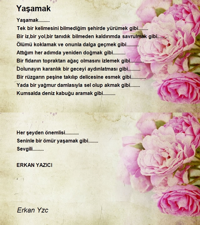 Erkan Yzc