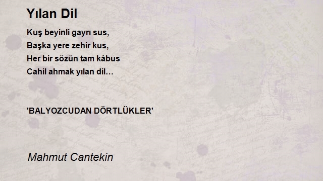 Mahmut Cantekin