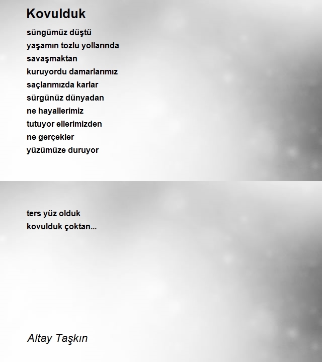 Altay Taşkın