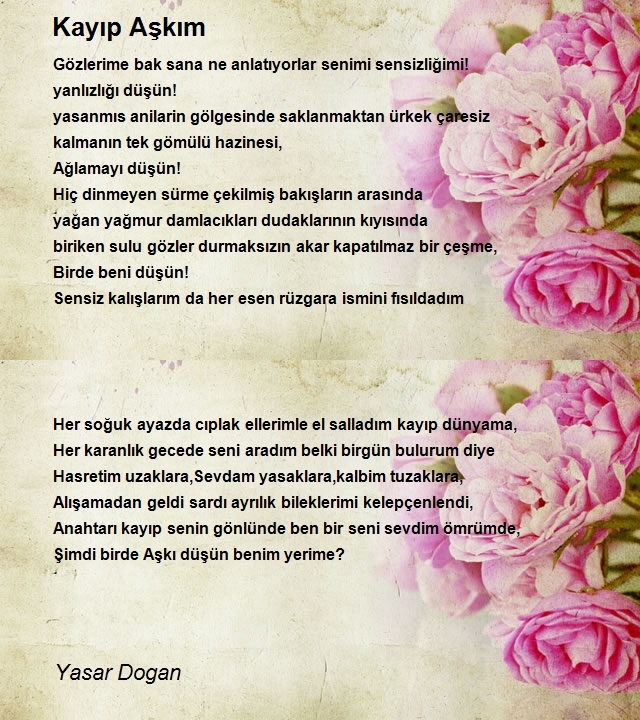 Yasar Dogan