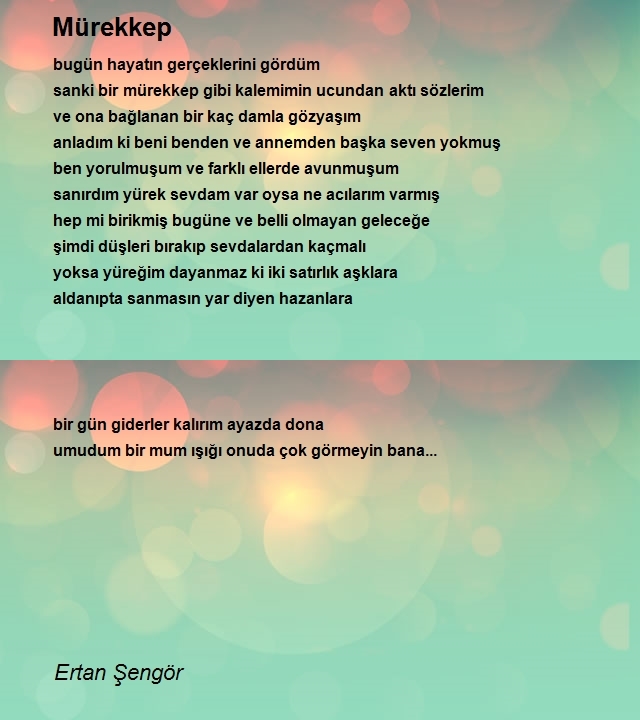 Ertan Şengör