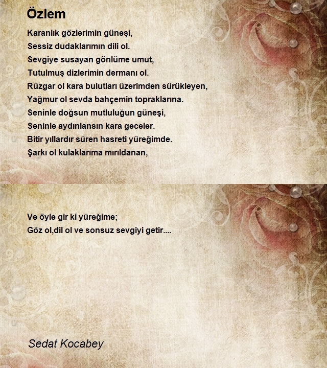 Sedat Kocabey