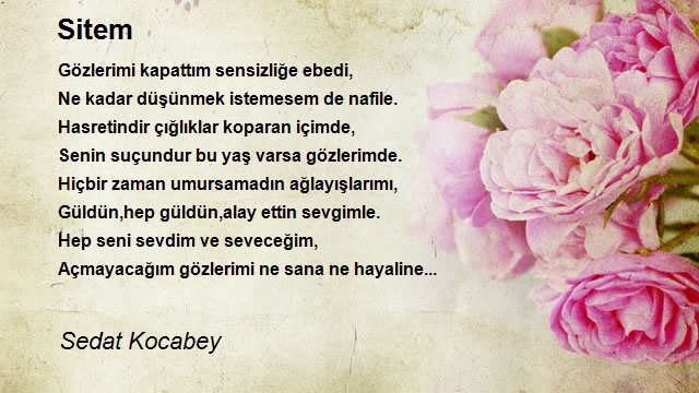 Sedat Kocabey