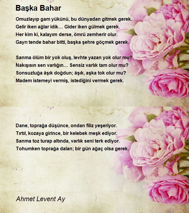 Ahmet Levent Ay