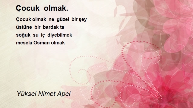 Yüksel Nimet Apel