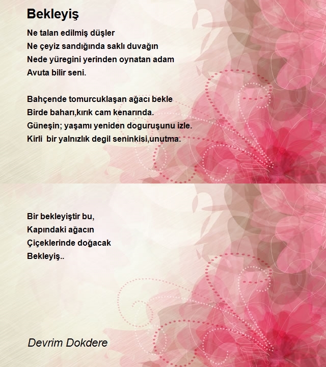 Devrim Dokdere