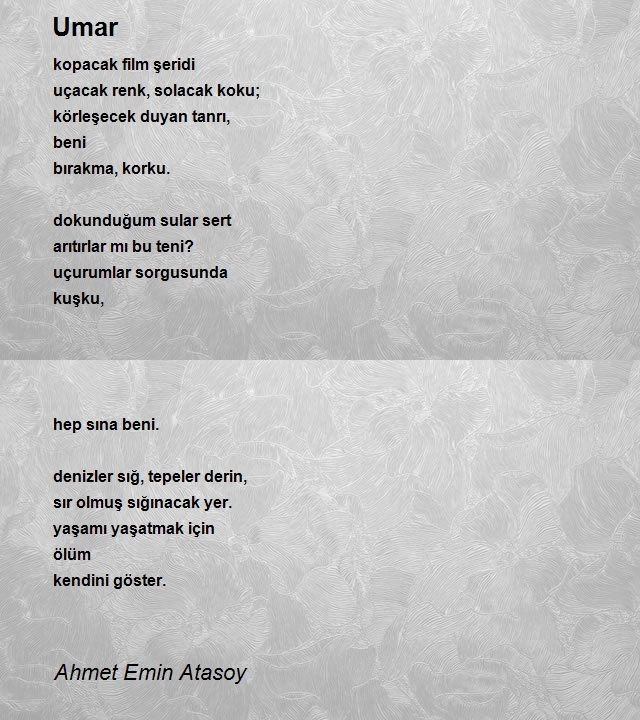 Ahmet Emin Atasoy