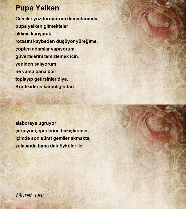 Murat Tali