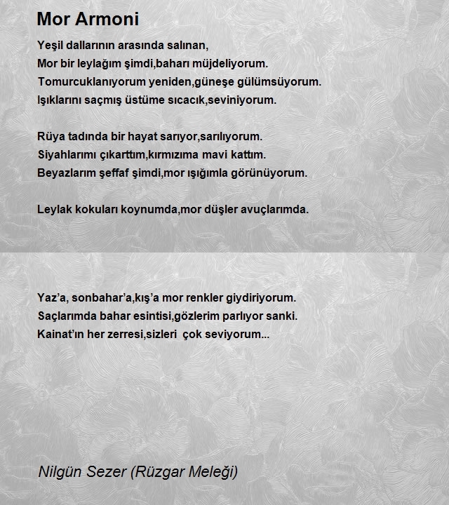 Nilgün Sezer (Rüzgar Meleği)