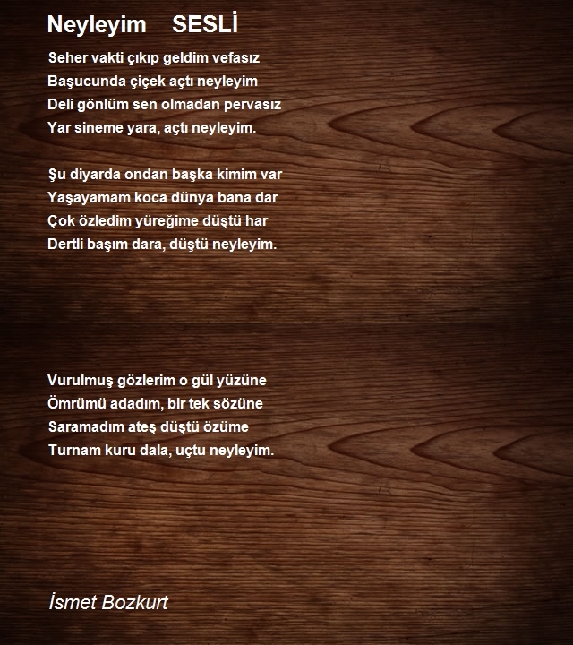 İsmet Bozkurt