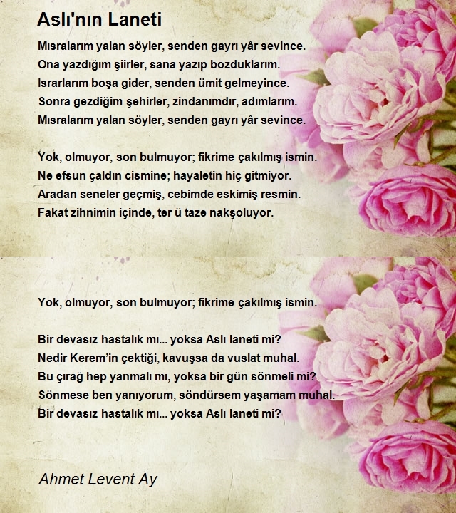 Ahmet Levent Ay