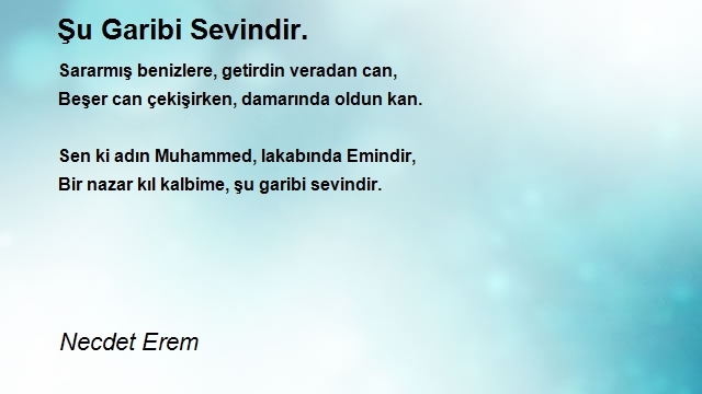 Necdet Erem