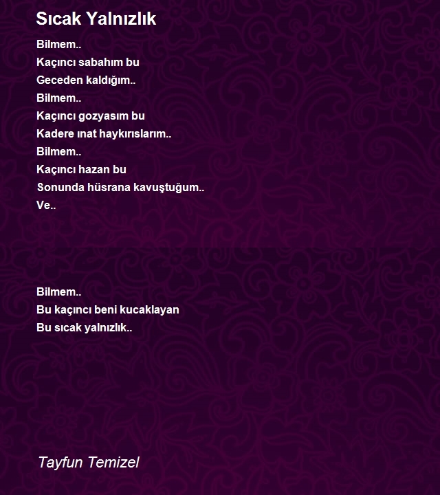 Tayfun Temizel