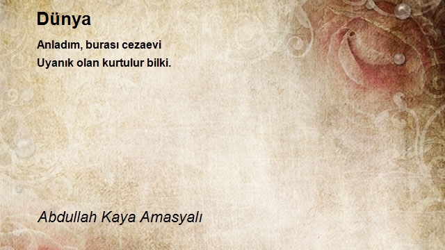 Abdullah Kaya Amasyalı