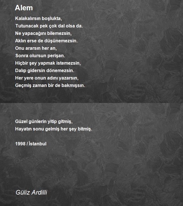 Güliz Ardilli