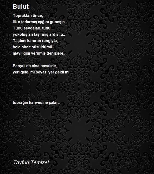 Tayfun Temizel