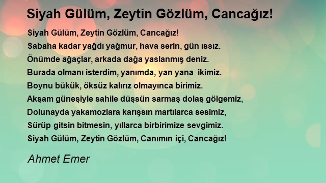 Ahmet Emer