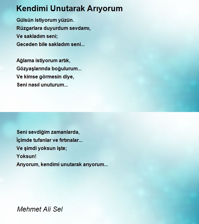 Mehmet Ali Sel