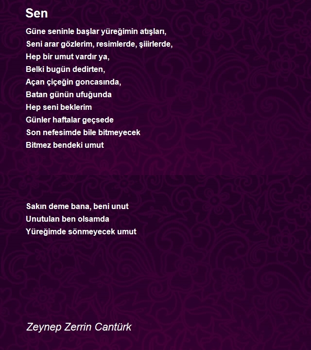 Zeynep Zerrin Cantürk