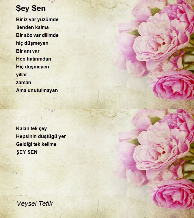 Veysel Tetik