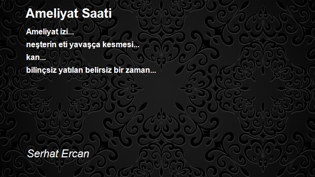 Serhat Ercan