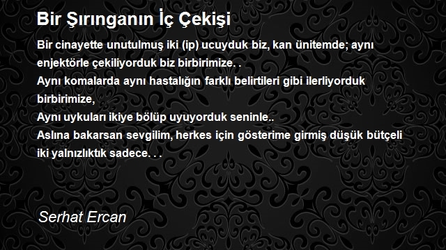 Serhat Ercan