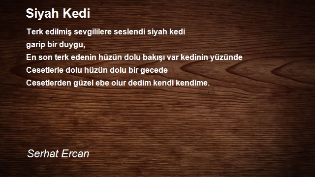 Serhat Ercan