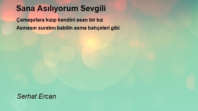 Serhat Ercan