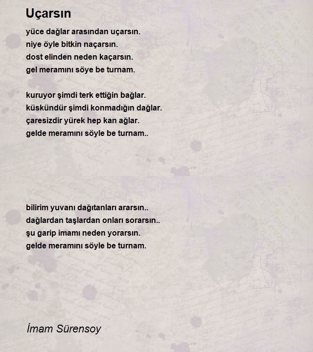 İmam Sürensoy