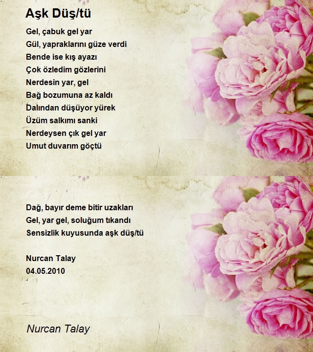 Nurcan Talay