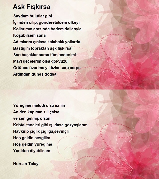 Nurcan Talay