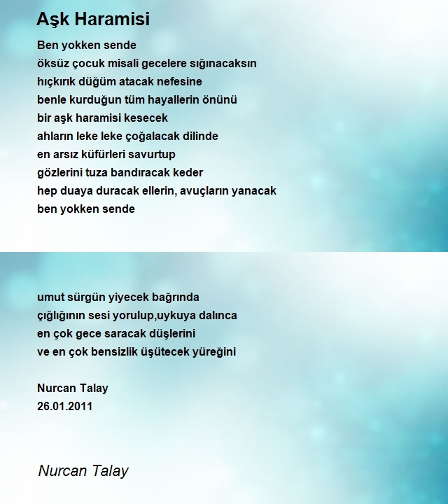 Nurcan Talay