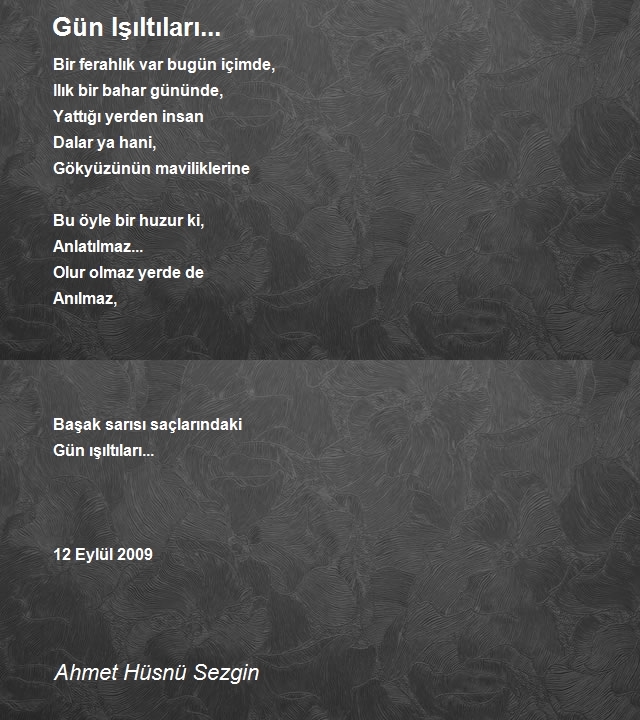 Ahmet Hüsnü Sezgin