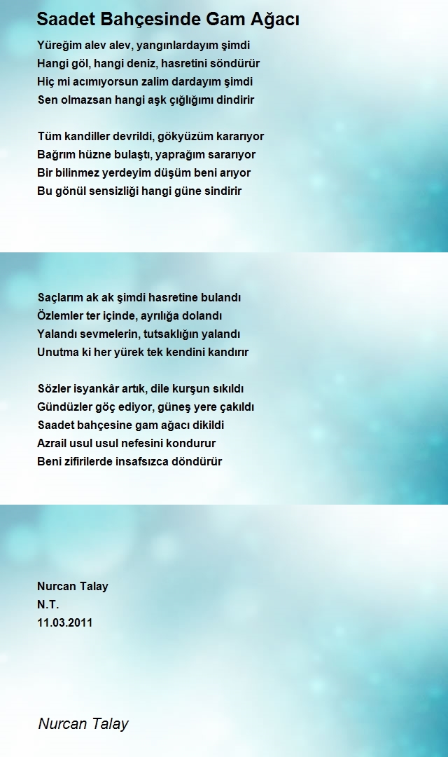 Nurcan Talay