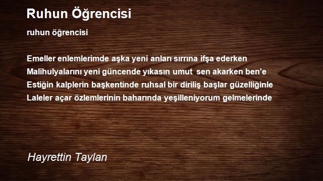 Hayrettin Taylan