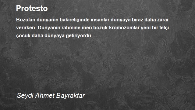 Seydi Ahmet Bayraktar