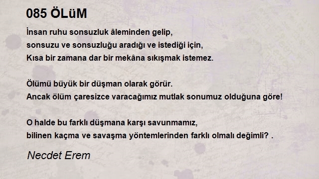 Necdet Erem