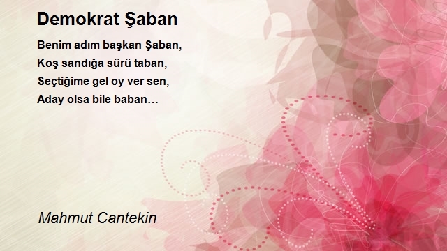 Mahmut Cantekin