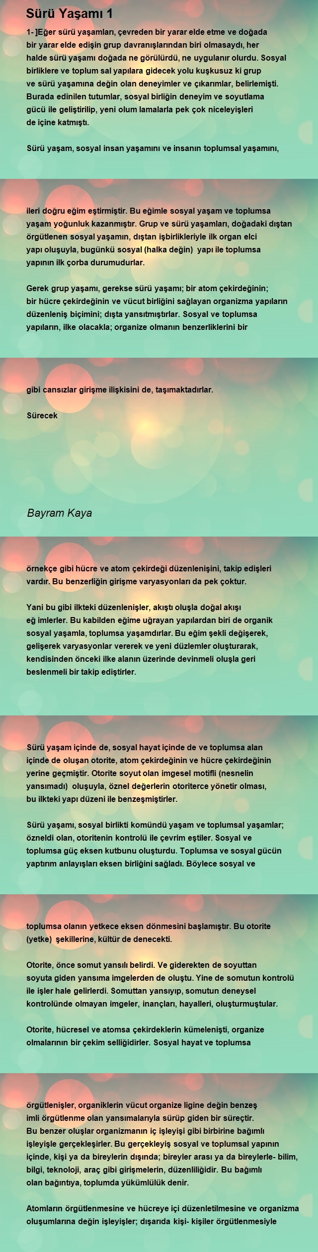 Bayram Kaya