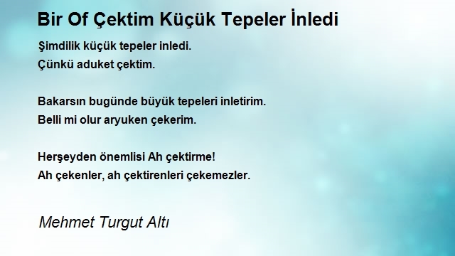 Mehmet Turgut Altı