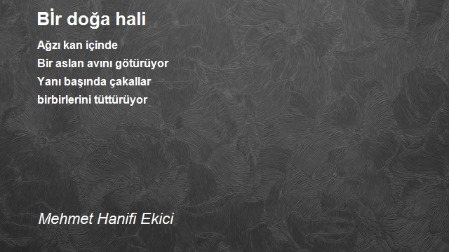 Mehmet Hanifi Ekici