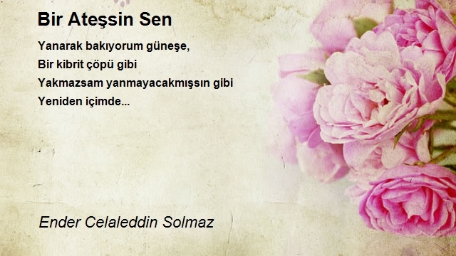 Ender Celaleddin Solmaz