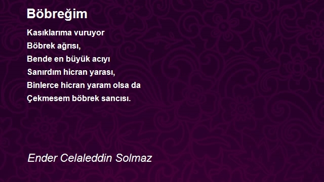 Ender Celaleddin Solmaz