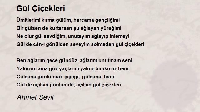 Ahmet Sevil