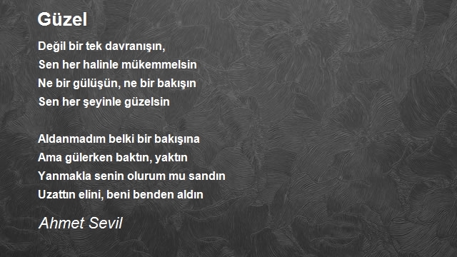 Ahmet Sevil