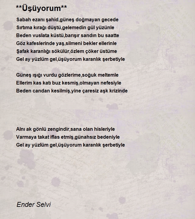 Ender Selvi