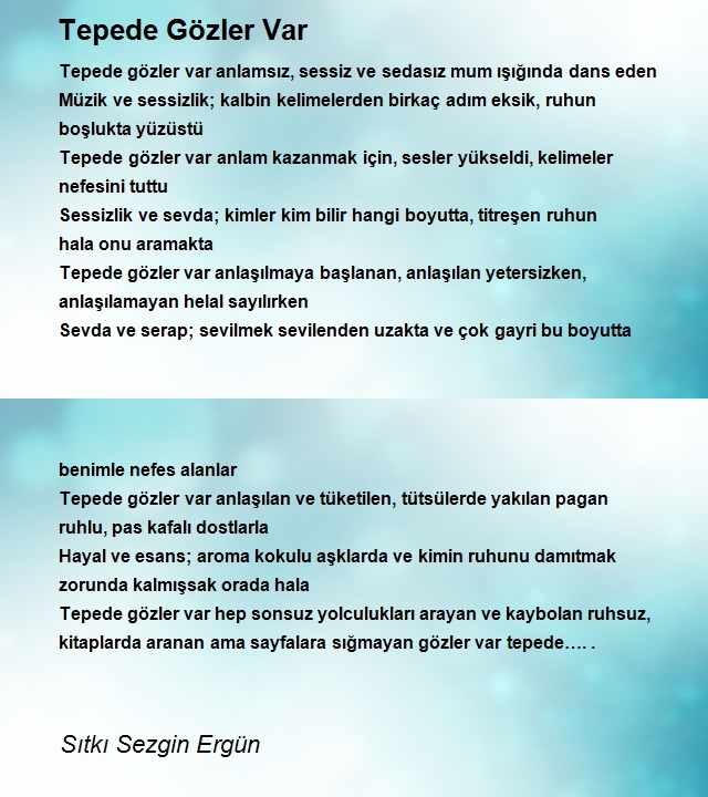 Sıtkı Sezgin Ergün