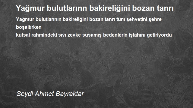 Seydi Ahmet Bayraktar