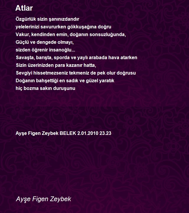 Ayşe Figen Zeybek